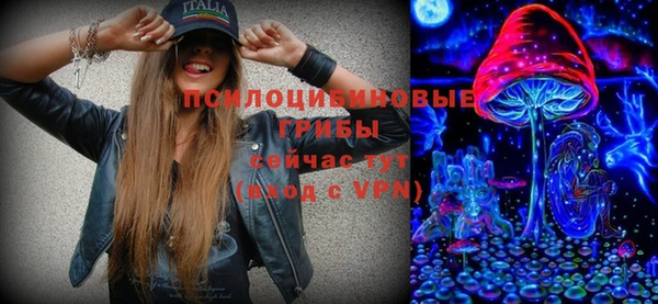 мдма Гусев