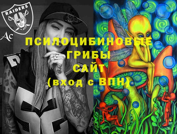 амфетамин Гусь-Хрустальный