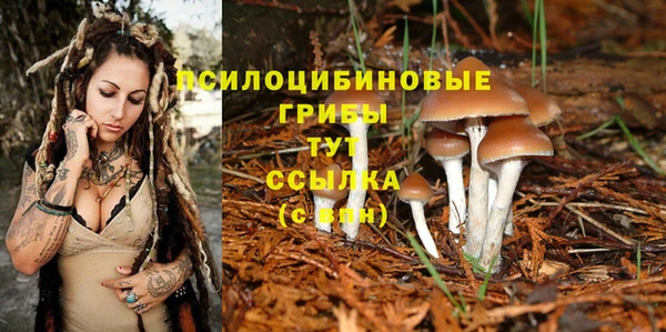 мдма Гусев