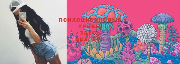 гашик Гусиноозёрск