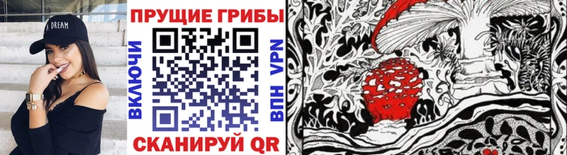 Галлюциногенные грибы Psilocybe  что такое   Магнитогорск 