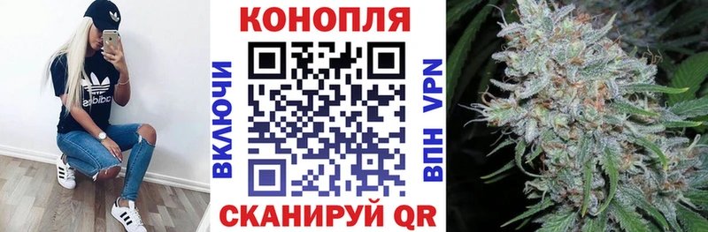 блэк спрут   Магнитогорск  Канабис Amnesia  где найти  